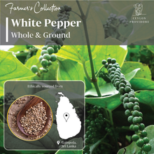 Load image into Gallery viewer, Buy White peppercorns online at www.ceylonprovidore.com. The white pepper is sourced ethically, fresh and in eco-friendly packaging. White pepper location in Sri Lanka

