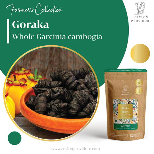 Buy Garcinia cambogia or gummi-gutta at www.ceylonprovidore.com. Fresh products, ethically sourced and eco-friendly packaging. 